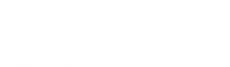 mXs Productions logo